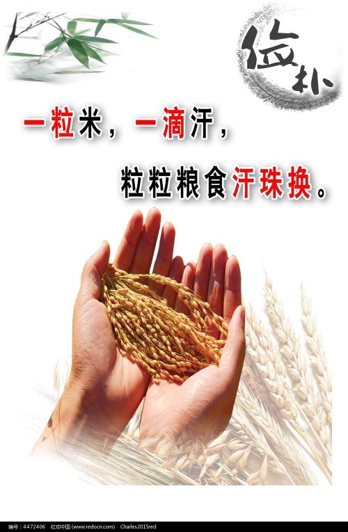 本科找工作一定要学位证吗